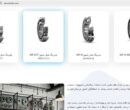 پارس تامین پرشین