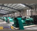 اهمیت سنکرون دیزل ژنراتورها