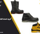 تولیدکننده کفش ایمنی